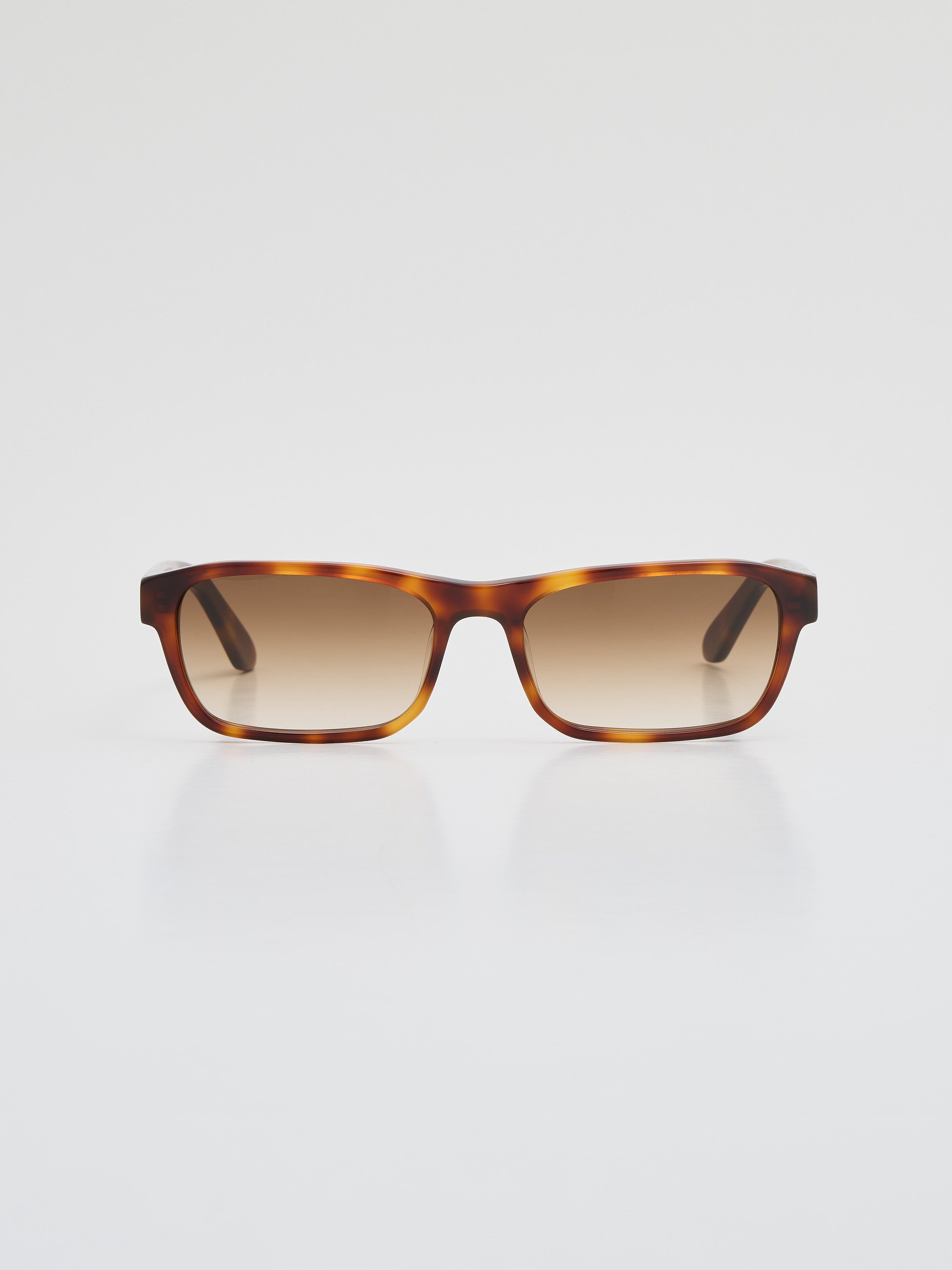 Front view of Latiner sunglasses in tortoiseshell acetate with brown gradient Carl Zeiss lenses.