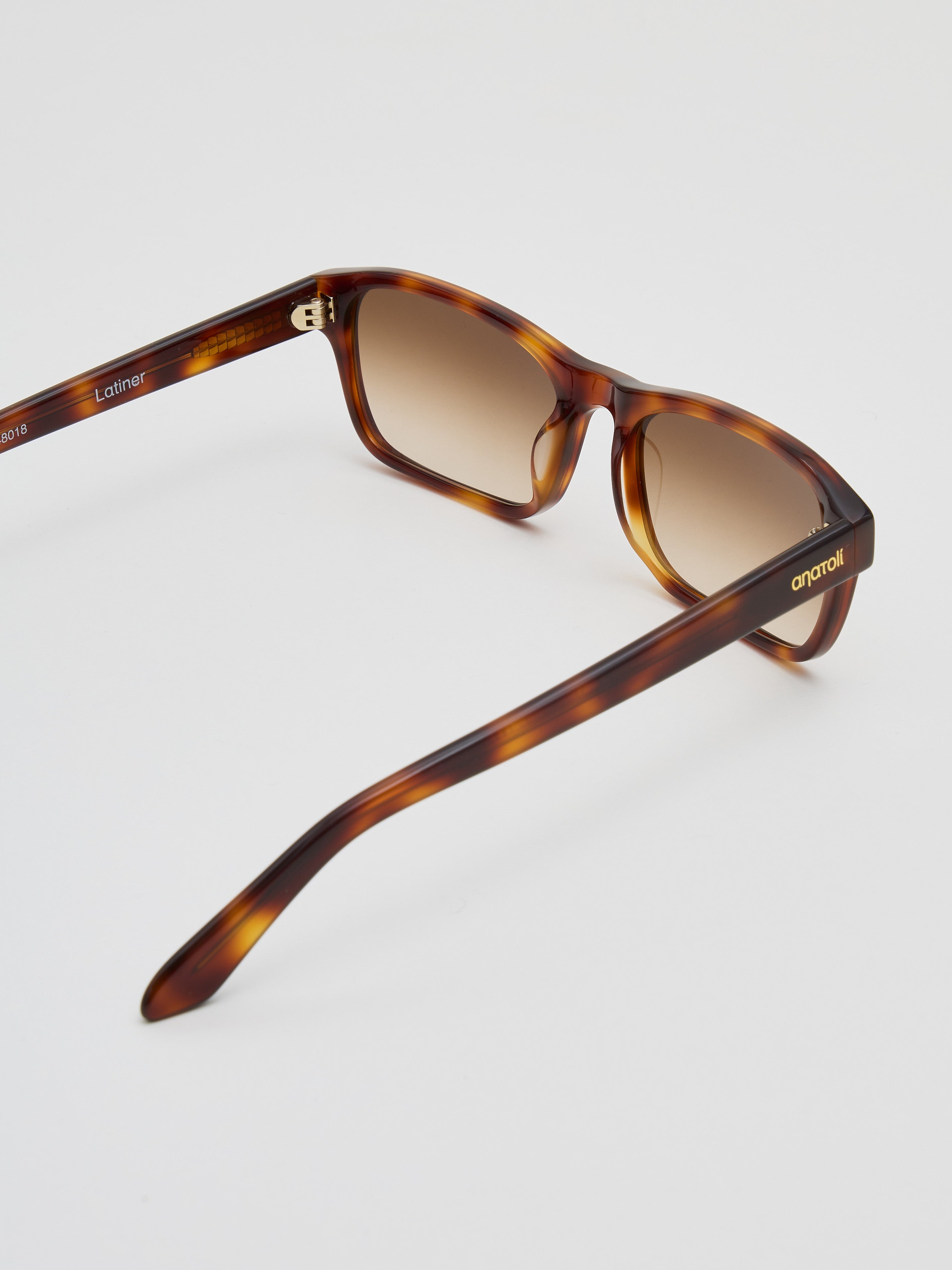 Rear angled view of Latiner sunglasses in tortoiseshell acetate, showing inner arm details and gold Anatolí logo on the temple tip