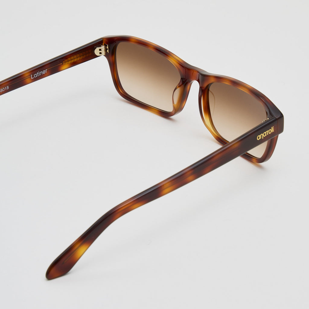 Rear angled view of Latiner sunglasses in tortoiseshell acetate, showing inner arm details and gold Anatolí logo on the temple tip
